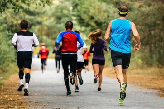 Gruppe von L&auml;ufern in Sportkleidung joggt auf einem schmalen Weg durch einen bewaldeten Park.